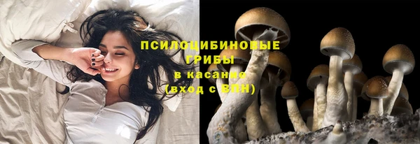 кокс Алексин