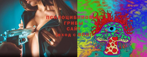прущий лед Рославль