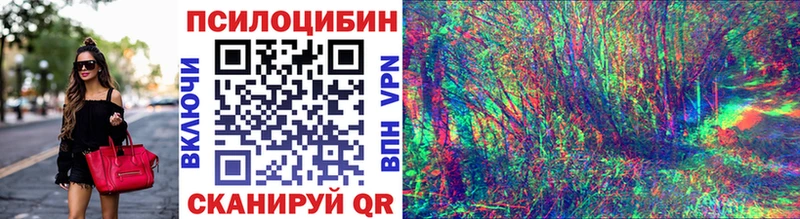 Галлюциногенные грибы Cubensis  купить наркотики сайты  Егорьевск 